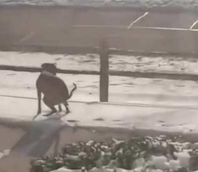 Are you seeing these shits?