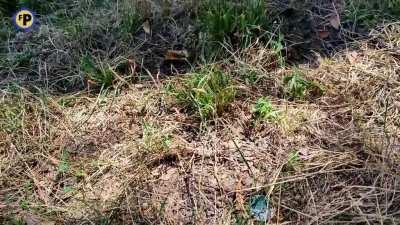 МЫ ПЫТАЛИСЬ ЕГО УНИЧТОЖИТЬ ! НО ЕМУ БЫЛо ПО* КАЖДЫЙ РАЗ