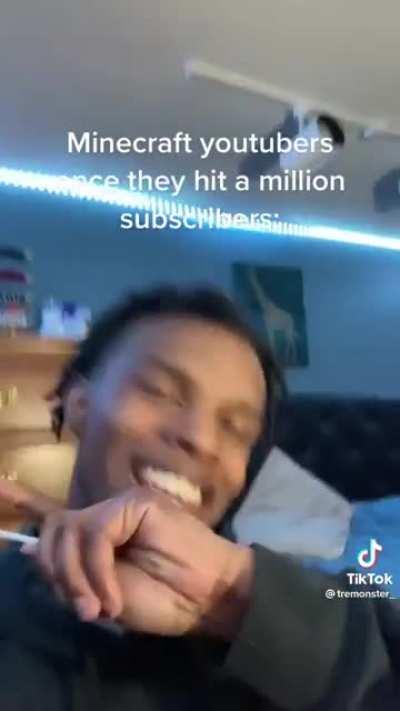 Minecraft YouTubers after hitting million subscribers be like: