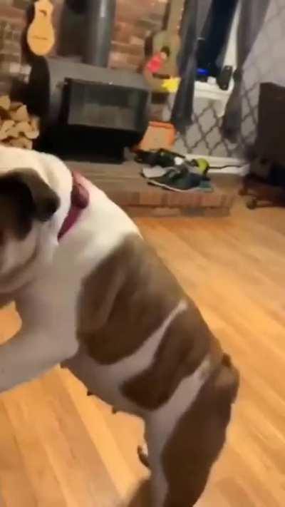 Does anyone want to learn how to twerk?