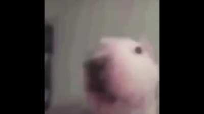 I have made what must be made