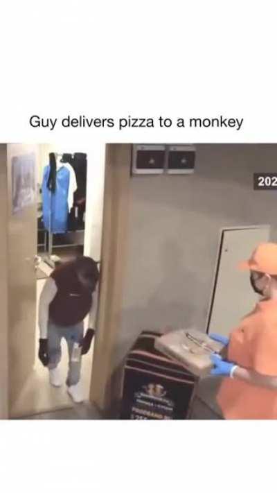 monkey