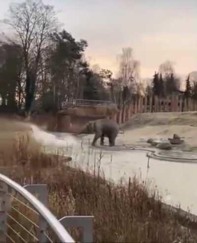 Don’t trust anyone