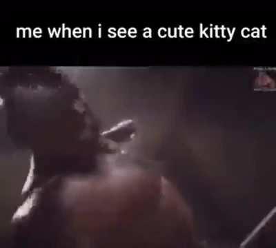 Wordington brutality (TW: Graphic)