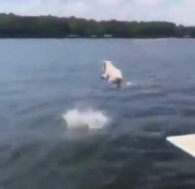 You are never lonely with a dog!