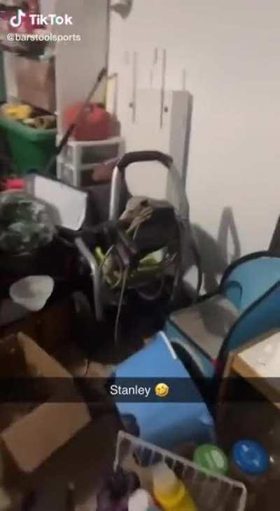 Found this gem💎 on TikTok🎶