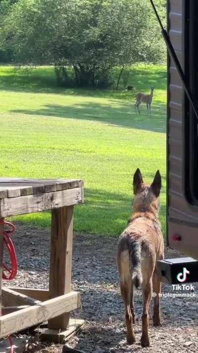 Out of all the different videos I seen with the sound this one is the best🤣🤣❤️