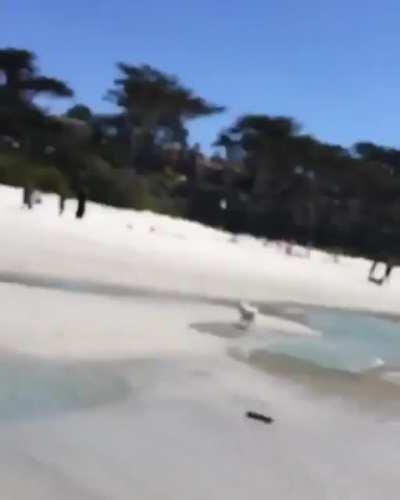 It wasn't a puddle? Are you seeing this fun shit?