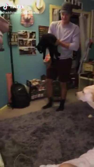 Cat scared by new rug owners bought