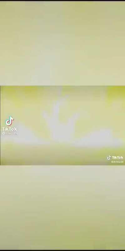 The founding cat keeps moving forward.