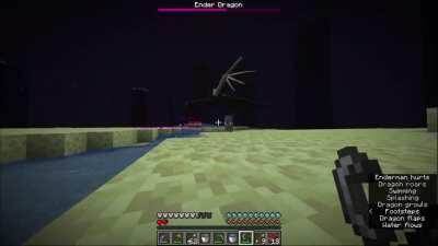 I Beat Minecraft as a Fish. The journey was insane, but here are the ender dragon highlights.