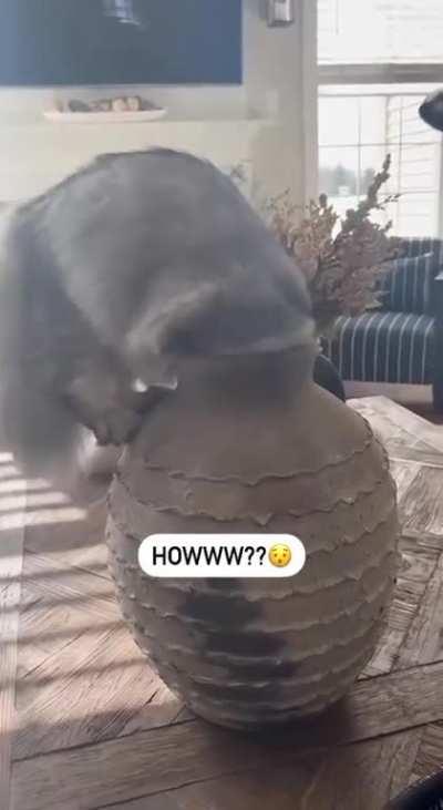 Now your favorite flowers are me! 😂👉