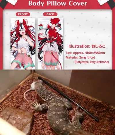 I'm going to DESTROY this rat