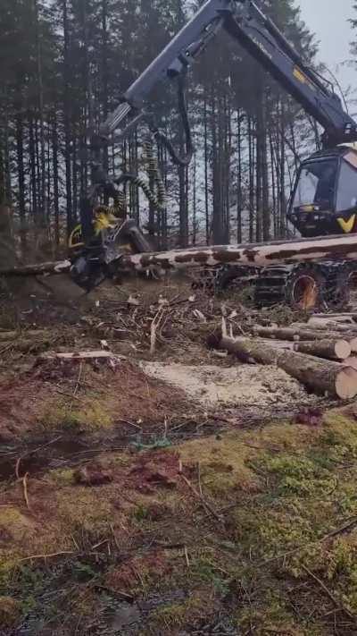 Crazy how efficient it's now become