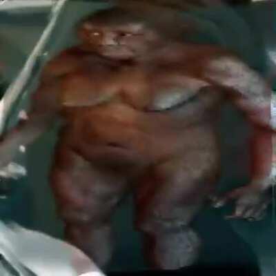 the bible animated ep.1 (WARNING CUM INSIDE)