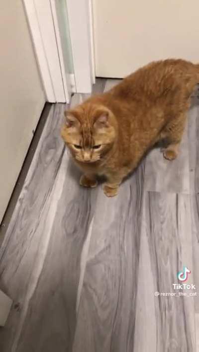 He will get it next time, he ie just tired