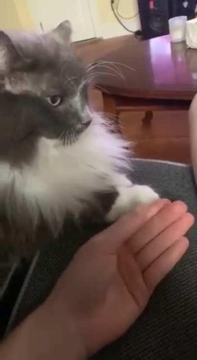 Might I have just one tap please?