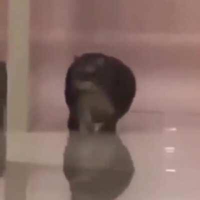 What do you think he saw?