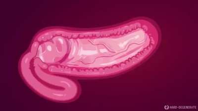 Momo makudo (harddegenerate)