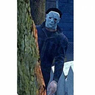 Low-quality meme edit by me.