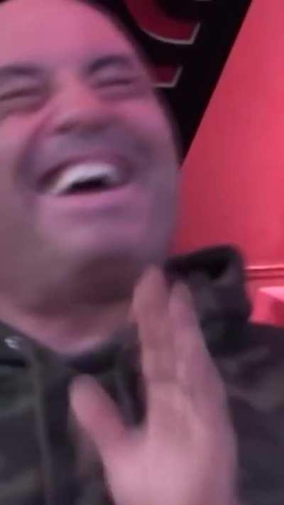 Rogan animal noise remix that no one asked for..