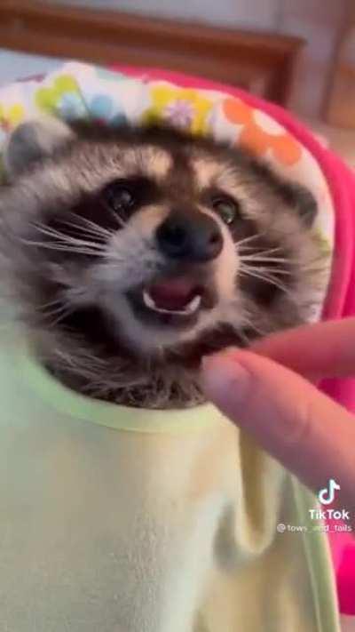 scrambled egg breakfast with a bib