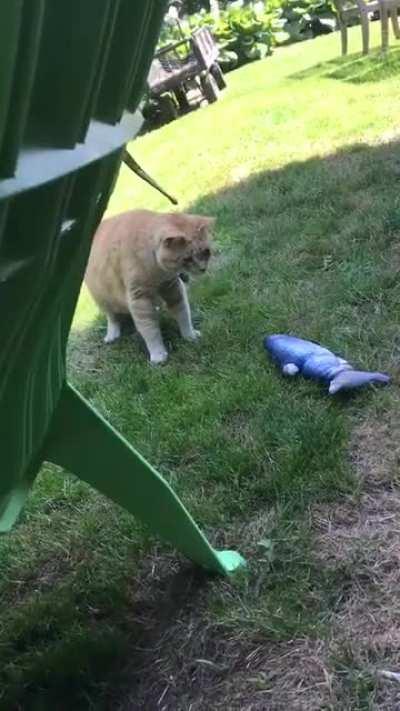 Timing of the tap is crucial