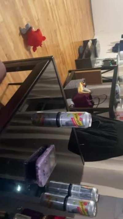 Wife sucking black dick under there table