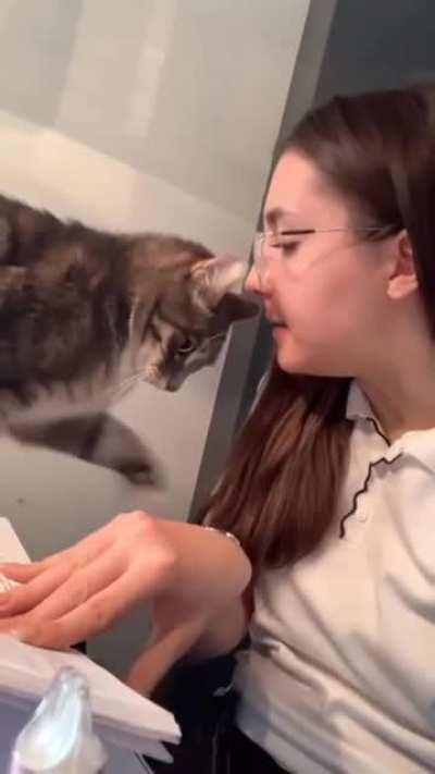 Импровизируй. Адаптируйся. Преодолевай.