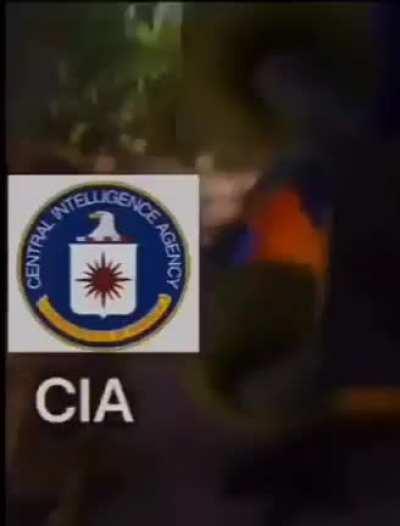 I lOvE tHe Us GoVeRnMeNt