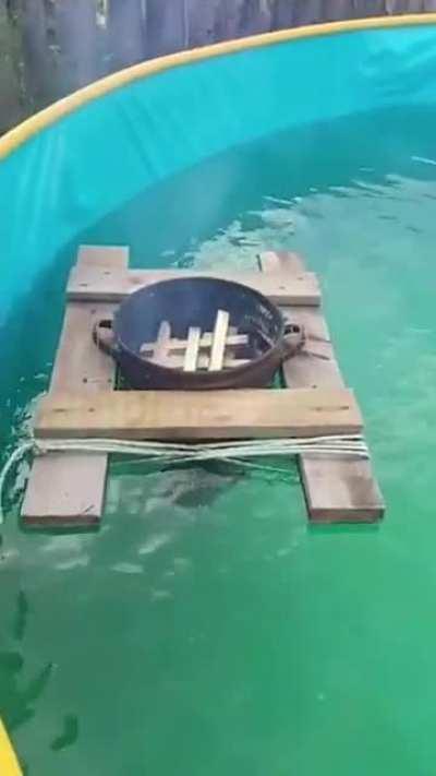 A great pool heater from tiktok