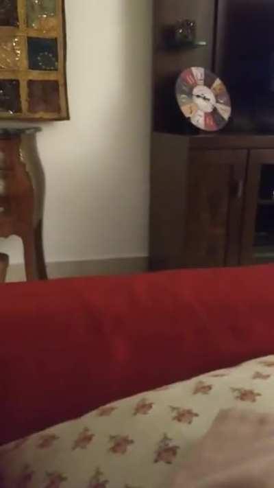 Red makes bulls angry, but...