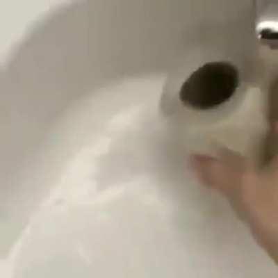 haha toilet paper goes brr