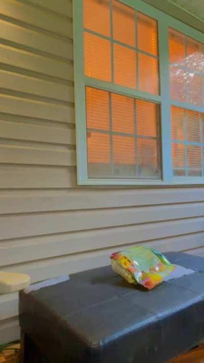 ʍɨŁώą&micro;ƙƹƹ6Ł&micro;ƹ~1631057003~17890488755373545~1