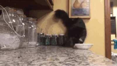 Catculating the exact point when the bowl will be off balance & fall off the counter