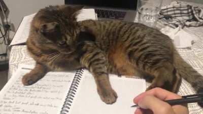 She won’t let me finish my work