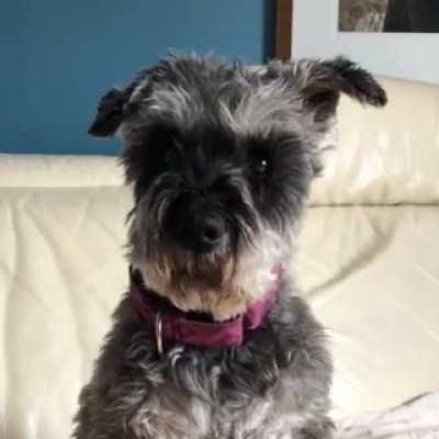 Pluto with a little bit of Covid19 advice