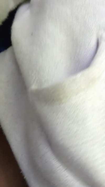 This guy winked at me at the park and the next thing I know he was fucking me behind some bushes 🌲🌲