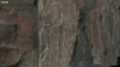 pull up pull up pull up pull up pull up pull up pull up pull up pull up pull up pull up pull up