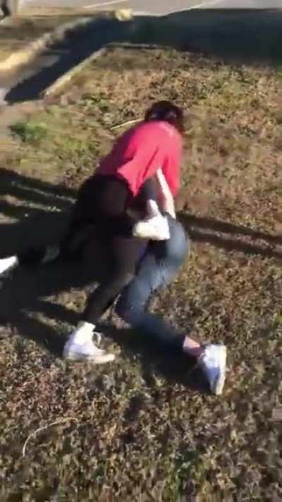 Forced to apologize - Girl Fight