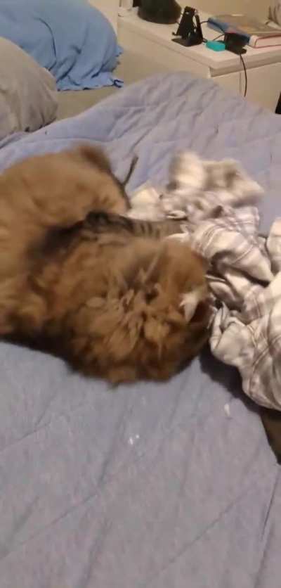 Horrific flannel violence.