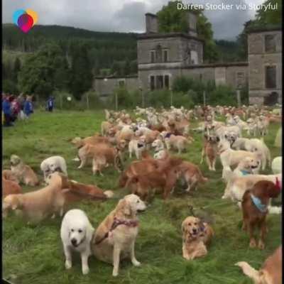 Wild that they all share that one brain cell 💛