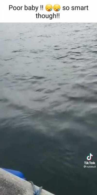 HMB while I chill out for a while. The black and white is looking for me