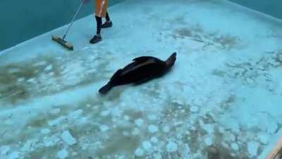 Seems like a really fun co-worker