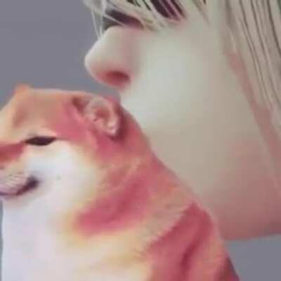 Jung cook x cheemu inu fanfuc on wattpad