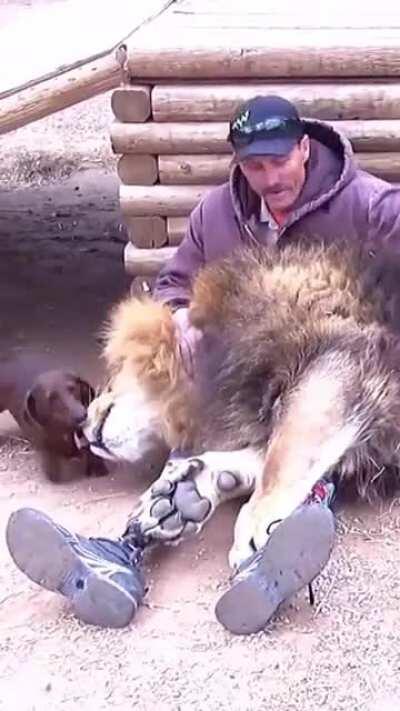 So much love in one picture