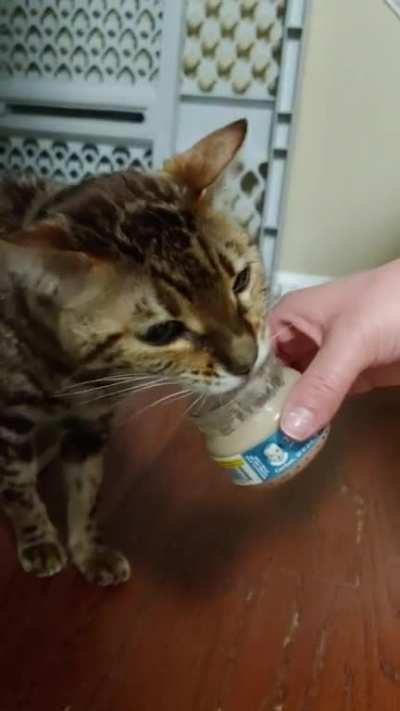 Meow. Meowglaggafsgksjsgs.