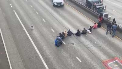 BLM protesters shut down a freeway in Seattle for unknown reasons.