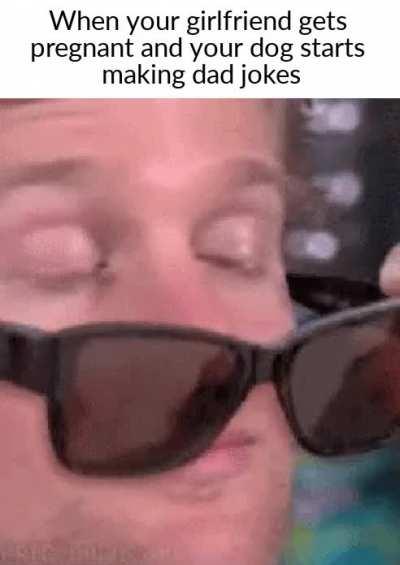 woof woof? woof woof woof woof