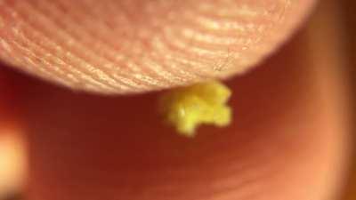 spiky pee pee ball does ouch